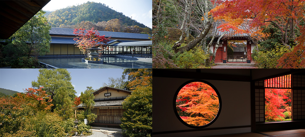 京都鷹峯三ヶ寺を巡る紅葉狩りステイプラン