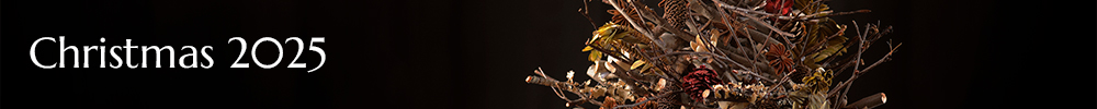 christmas 2025